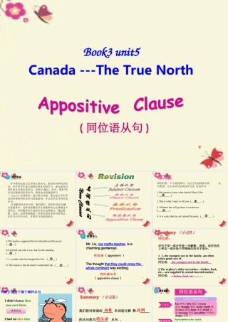 高中英语 Unit 5 Canada The True North Period 3 Grammar课件 新人教版必修3 课件