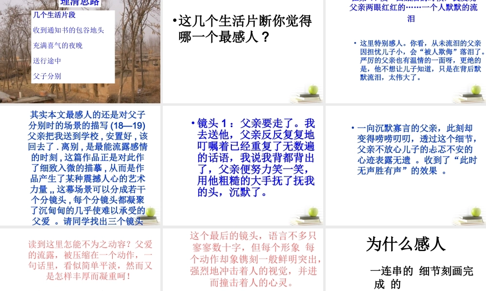 语文 1.5(父亲)课件 苏教版选修(现代散文选读) 课件