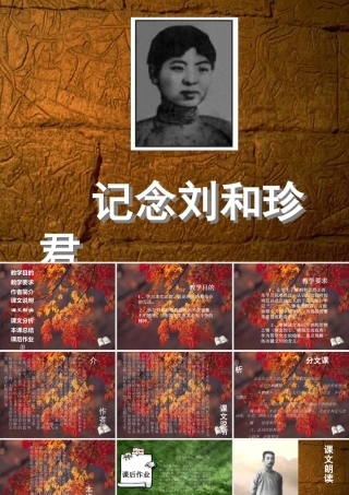 高中语文 记念刘和珍君1课件 新人教版必修1 课件