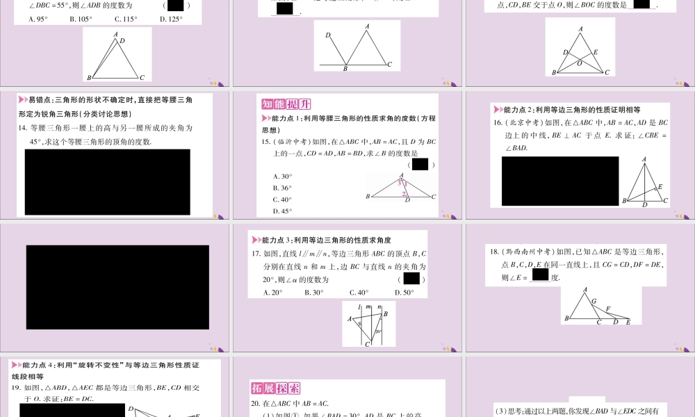 秋八年级数学上册 第2章 三角形 2.3 等腰三角形 第1课时 等腰(边)三解形的性质习题课件 (新版)湘教版 课件