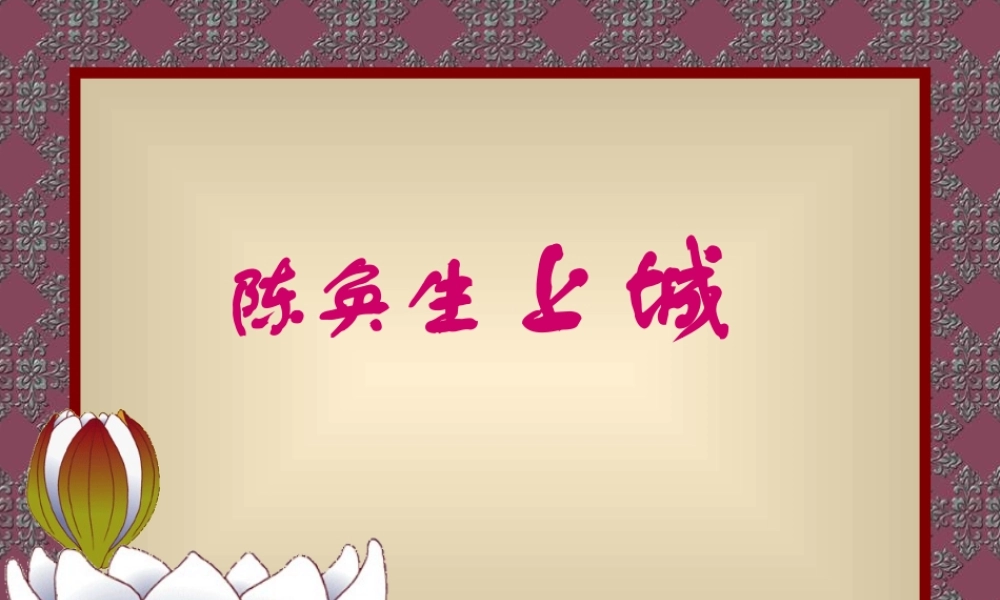 高二语文陈奂生上城课件