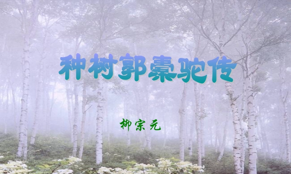 高中语文(种树郭橐驼传)教学课件 人教版第二册 课件
