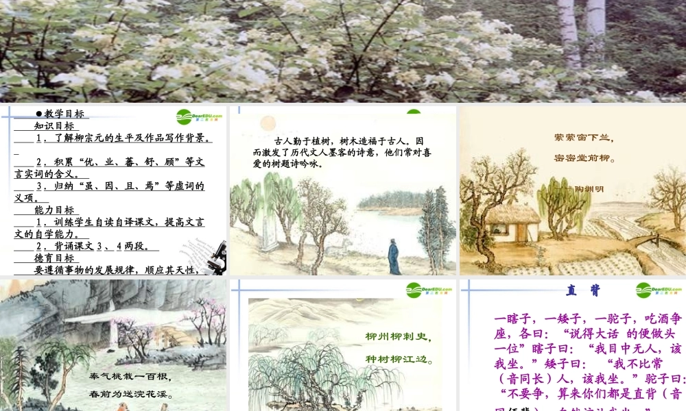 高中语文(种树郭橐驼传)教学课件 人教版第二册 课件