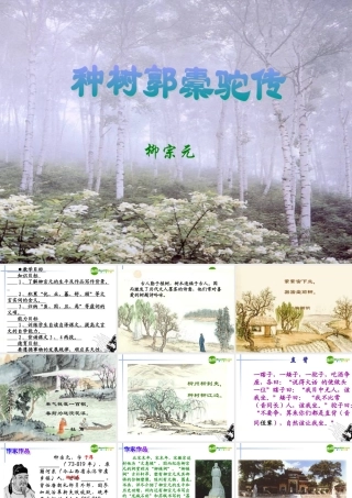 高中语文(种树郭橐驼传)教学课件 人教版第二册 课件