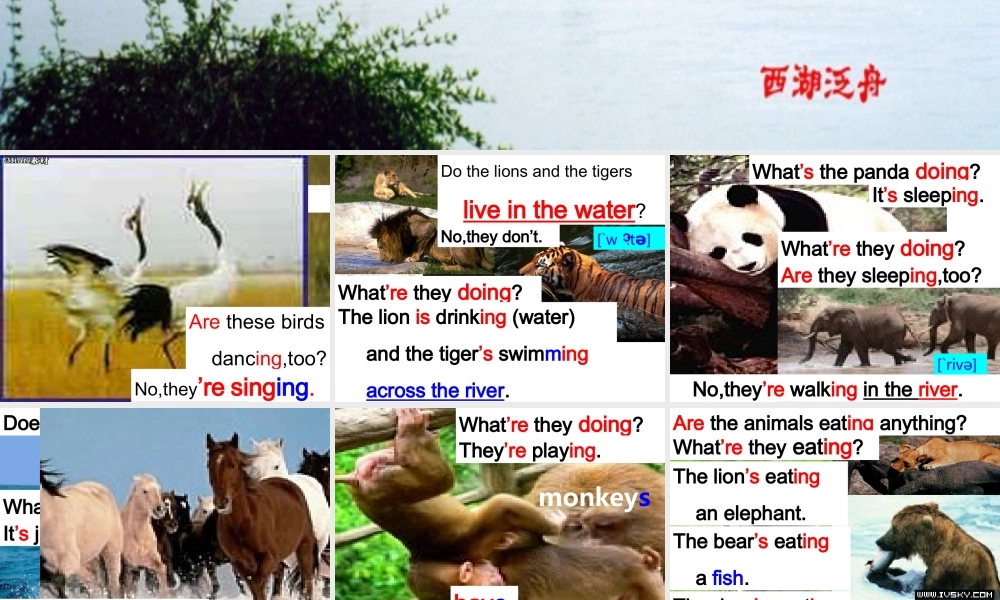 湖南省长沙县七年级英语下册Unit5I'm watching TV课件人教版新目标 课件