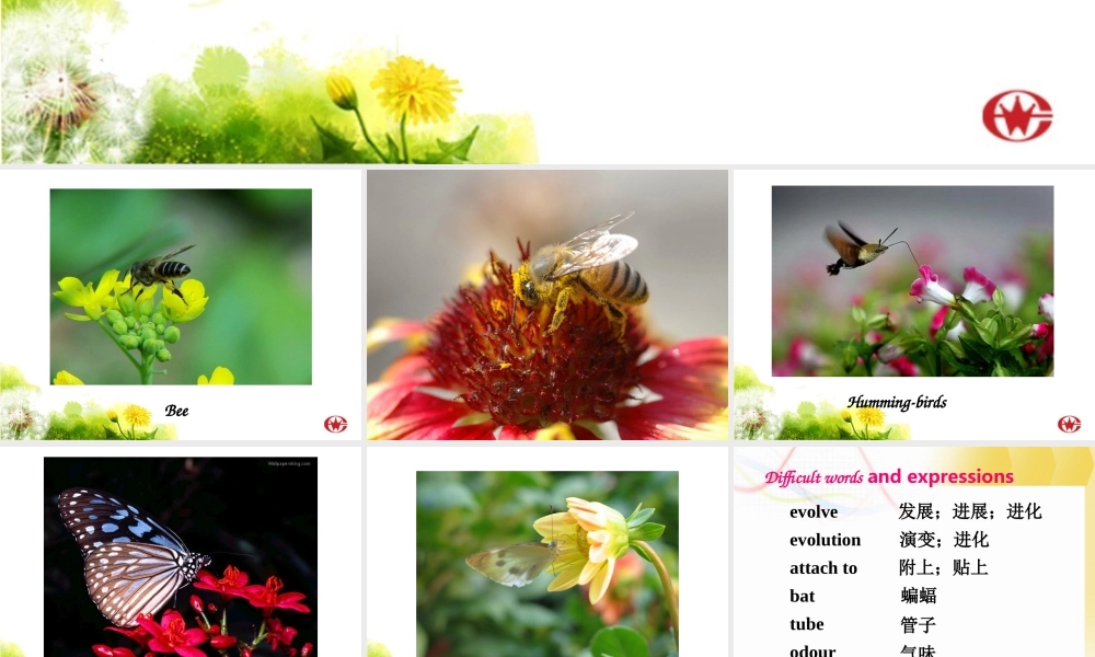 高中英语 Exploring plants-Using language课件 新人教版选修9 课件