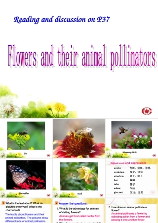 高中英语 Exploring plants-Using language课件 新人教版选修9 课件