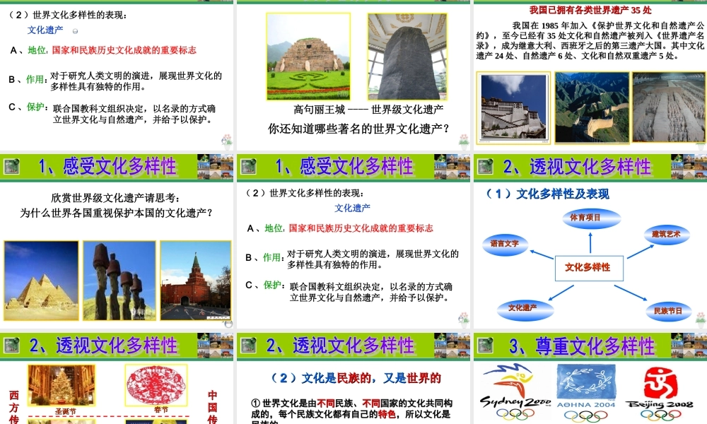 w世界文化多样性