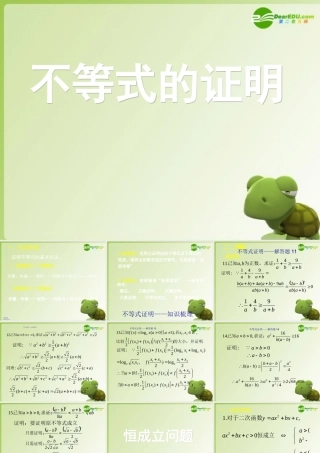 高考数学 不等式的证明复习课件 新人教版 课件