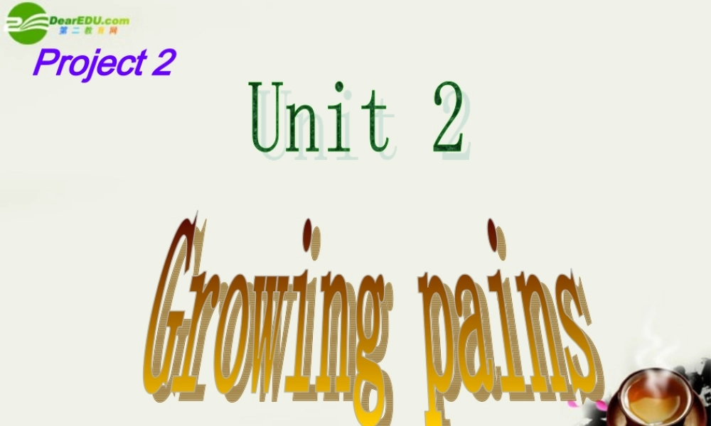 高中英语 Unit2 Project课件 牛津译林版必修1 课件