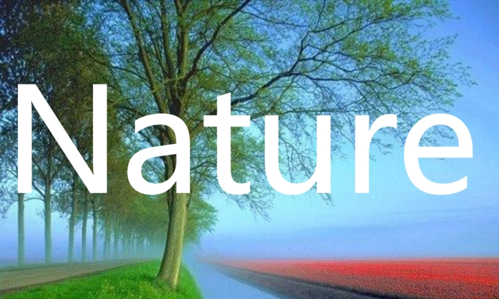 高中英语 Unit 3(Project)课件 牛津模块选修5 课件