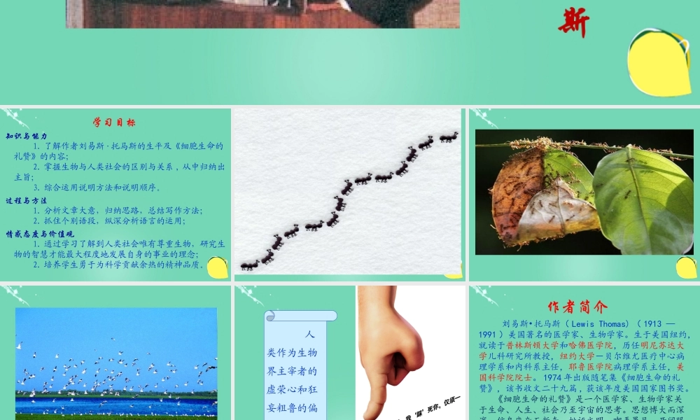 高中语文第四单元12作为生物的社会课件2新人教版必修5 课件