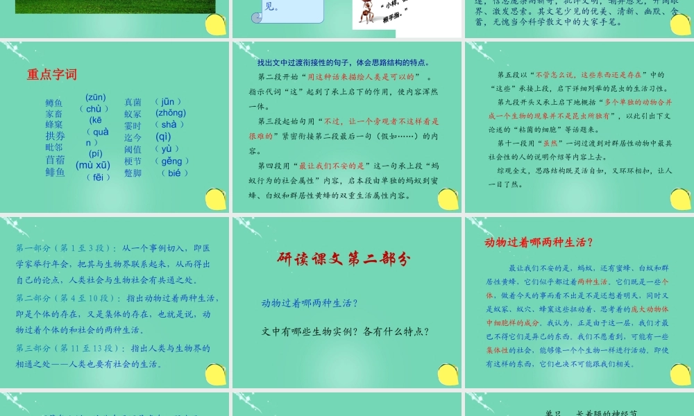 高中语文第四单元12作为生物的社会课件2新人教版必修5 课件