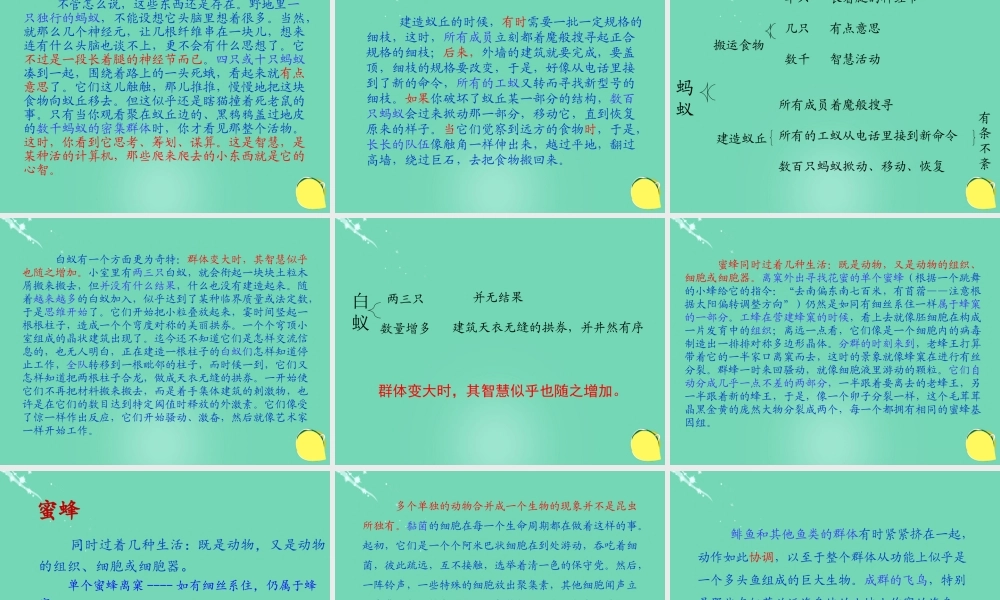 高中语文第四单元12作为生物的社会课件2新人教版必修5 课件