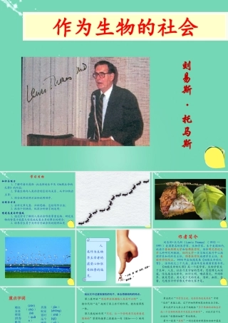 高中语文第四单元12作为生物的社会课件2新人教版必修5 课件