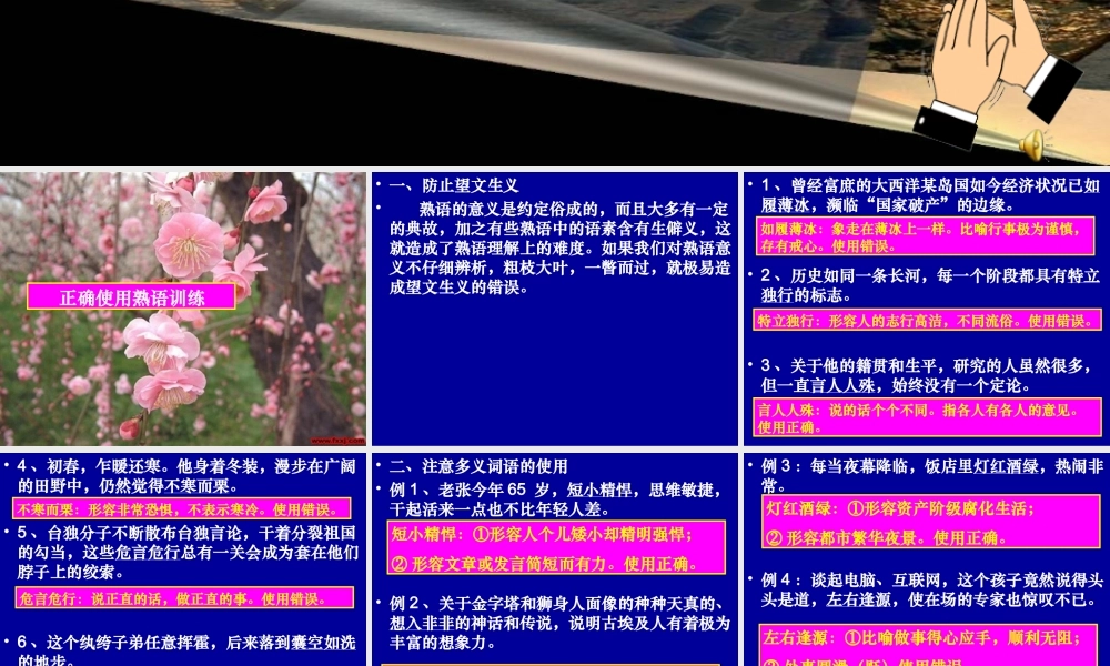 正确使用熟语训练