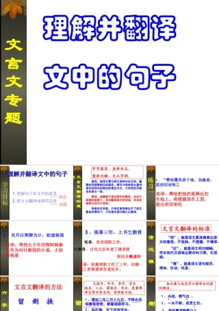 理解并翻译文中的句子