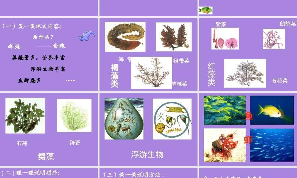 海洋是人类未来的粮仓