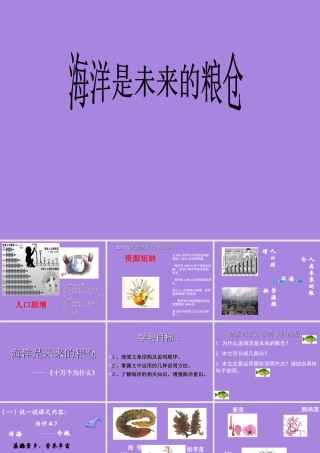 海洋是人类未来的粮仓