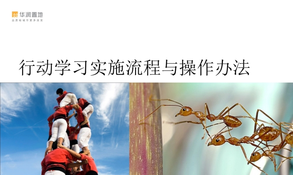 行动学习方法