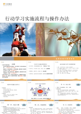 行动学习方法