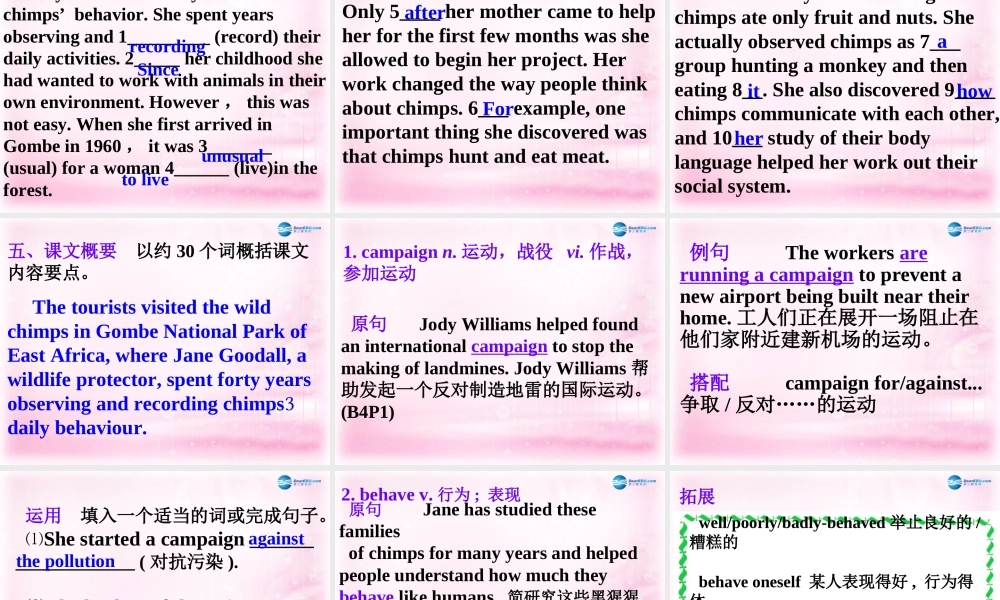 高考英语一轮复习 Unit 1 Women of achievement课件 新人教版必修4