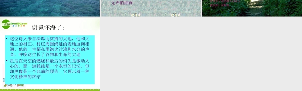 高一语文上学期 面朝大海春暖花开课件 人教版第一册 课件