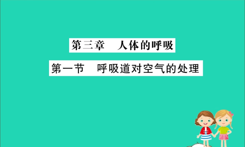版七年级生物下册 第四单元 生物圈中的人 第三章 人体的呼吸 1 呼吸道对空气的处理训练课件 新人教版 课件