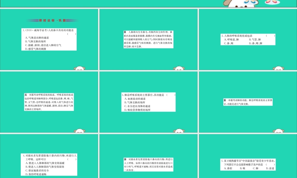 版七年级生物下册 第四单元 生物圈中的人 第三章 人体的呼吸 1 呼吸道对空气的处理训练课件 新人教版 课件