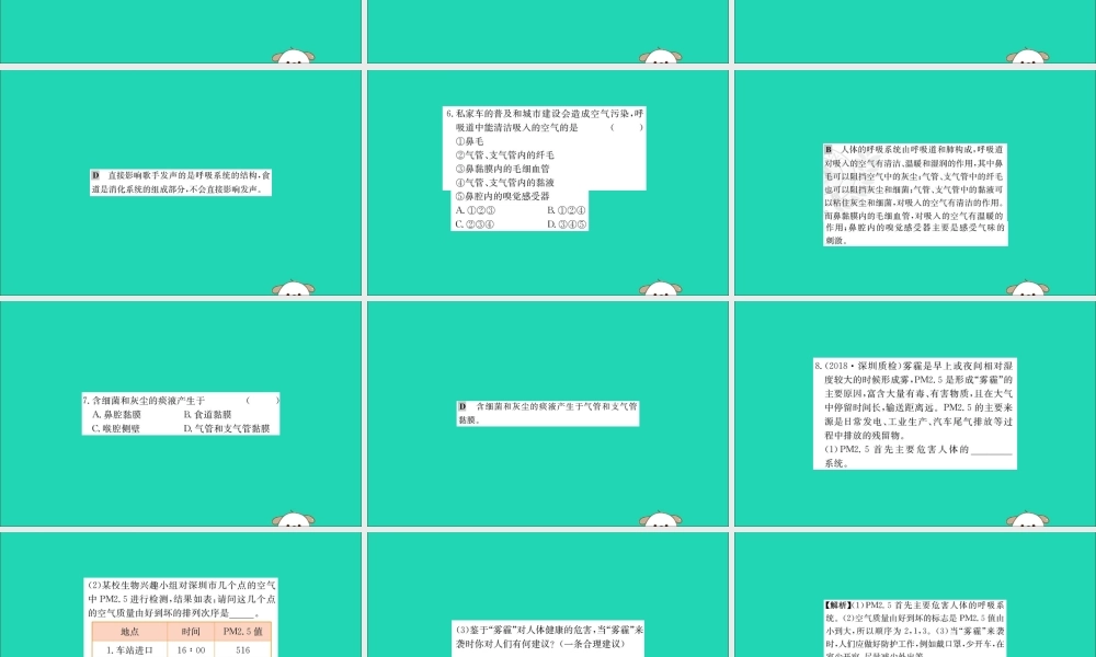 版七年级生物下册 第四单元 生物圈中的人 第三章 人体的呼吸 1 呼吸道对空气的处理训练课件 新人教版 课件