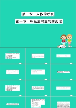 版七年级生物下册 第四单元 生物圈中的人 第三章 人体的呼吸 1 呼吸道对空气的处理训练课件 新人教版 课件