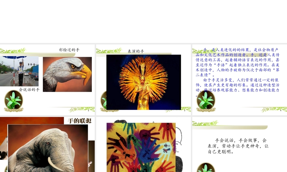 《灵巧的手》课件