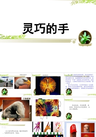 《灵巧的手》课件