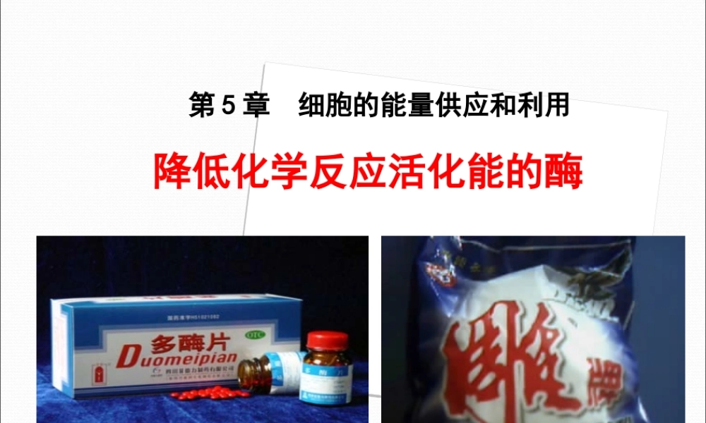 酶降低反应的活化能(精装修改版)