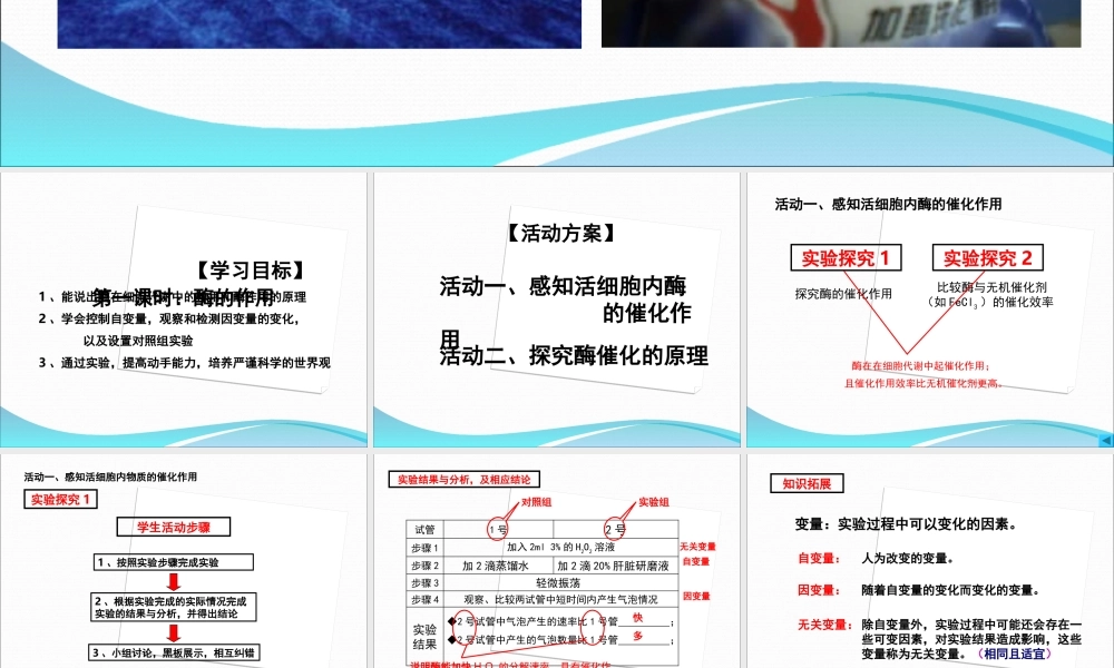 酶降低反应的活化能(精装修改版)