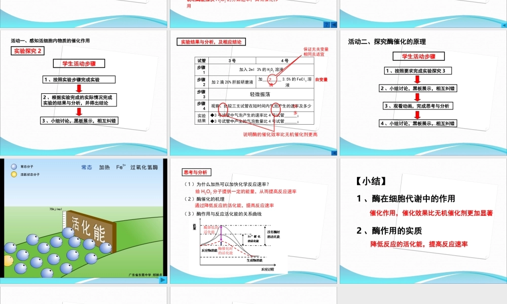 酶降低反应的活化能(精装修改版)