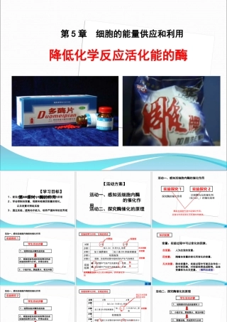 酶降低反应的活化能(精装修改版)