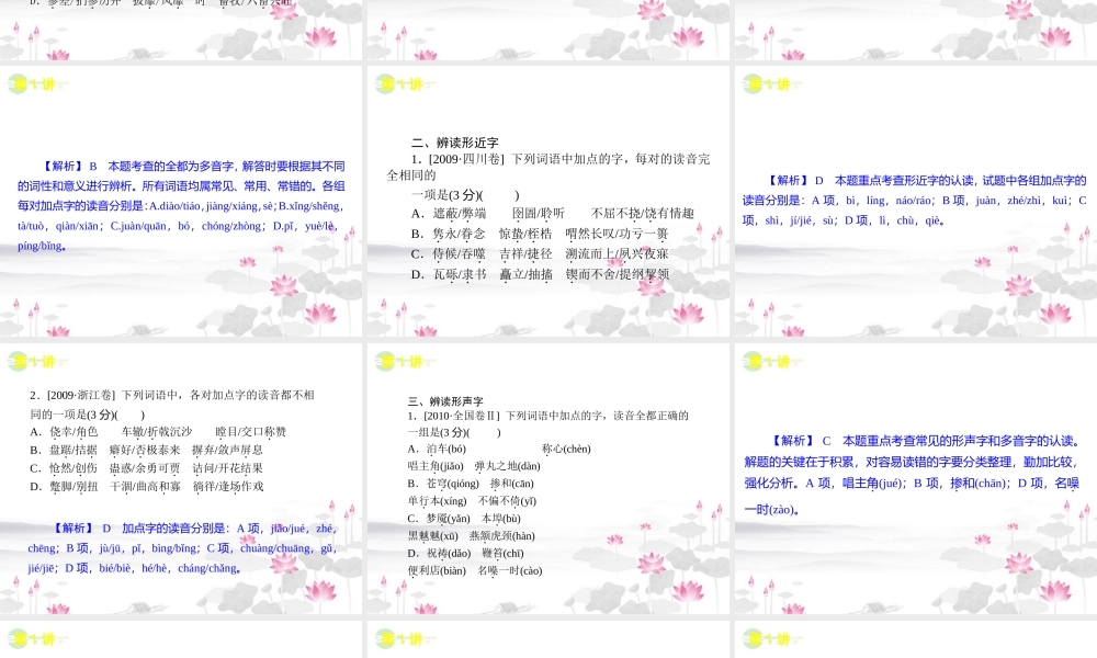 高考语文一轮复习 第1模块(1-3讲)语言文字运用课件 大纲人教版 课件