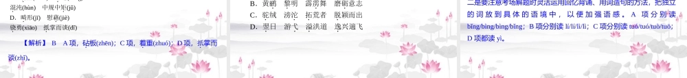 高考语文一轮复习 第1模块(1-3讲)语言文字运用课件 大纲人教版 课件