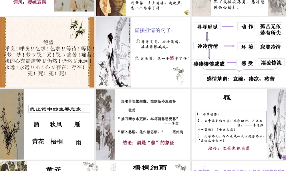 高中语文(声声慢)课件(语文版必修3) 课件