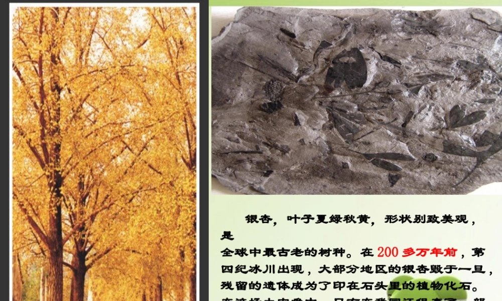 高中数学 对数性质第一课时课件 新人教A版必修1 课件