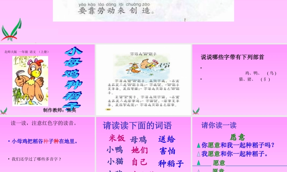 《小母鸡种稻子》课件一