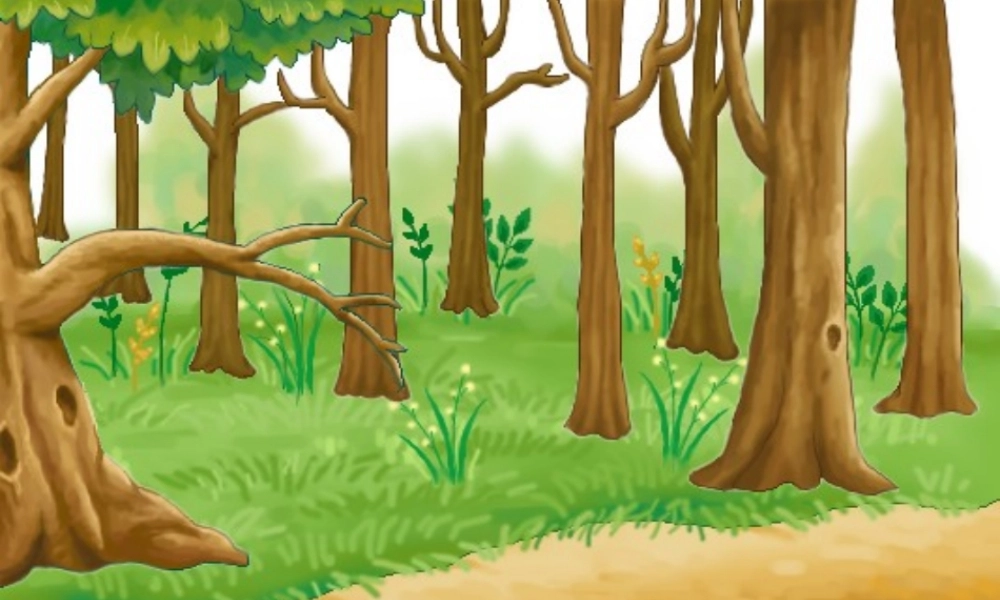 6蘑菇该奖给谁ppt