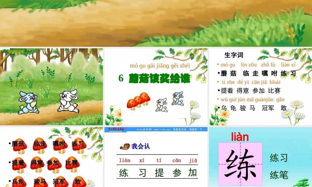 6蘑菇该奖给谁ppt