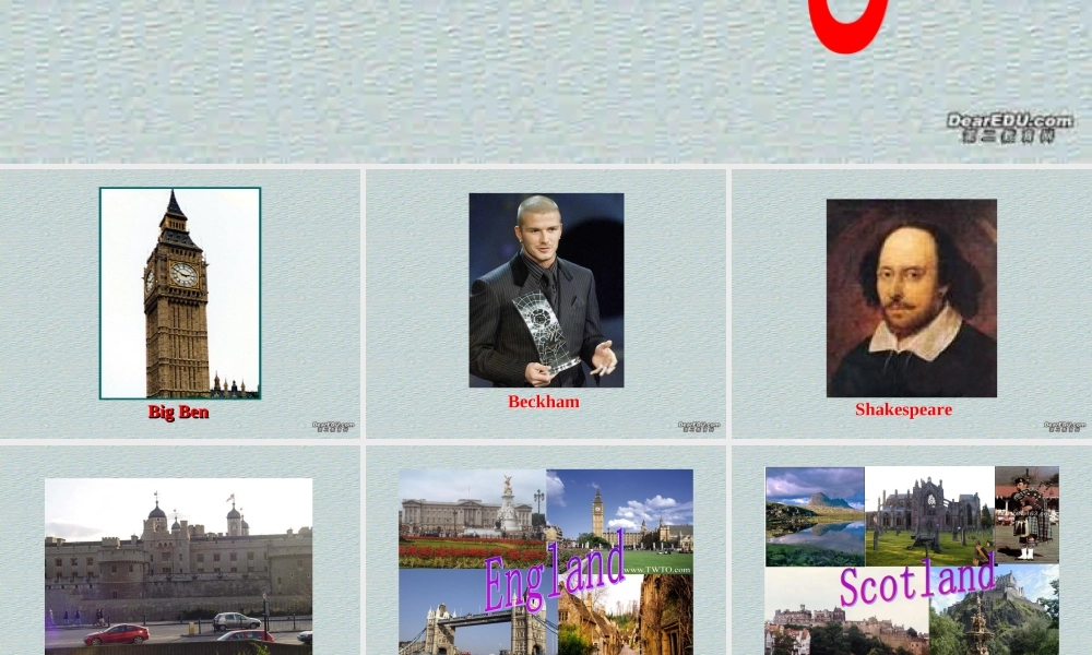 高二英语Unit5 reading课件
