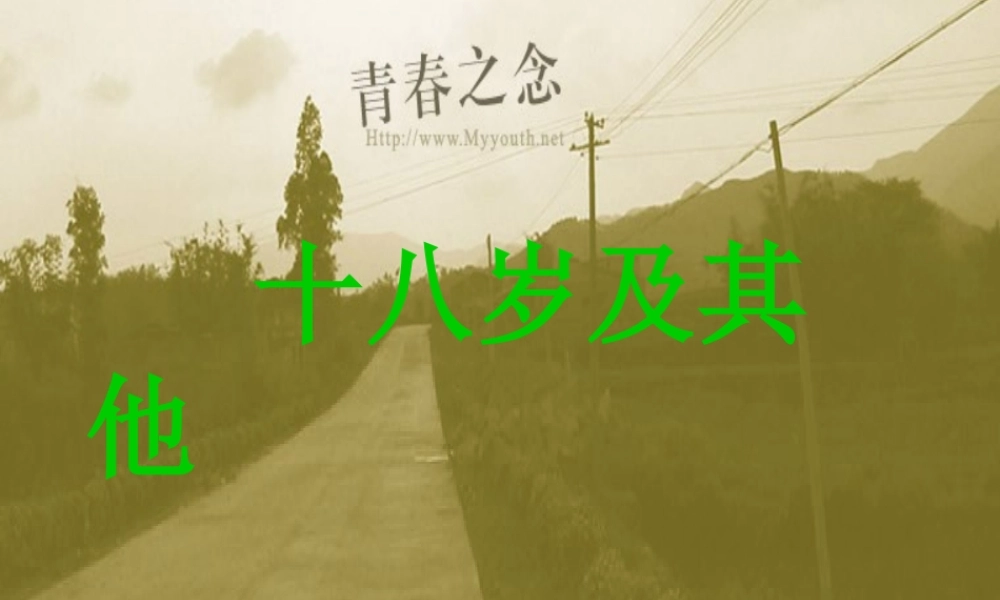 高中语文 第一专题(十八岁和其他)课件 苏教版必修1 课件