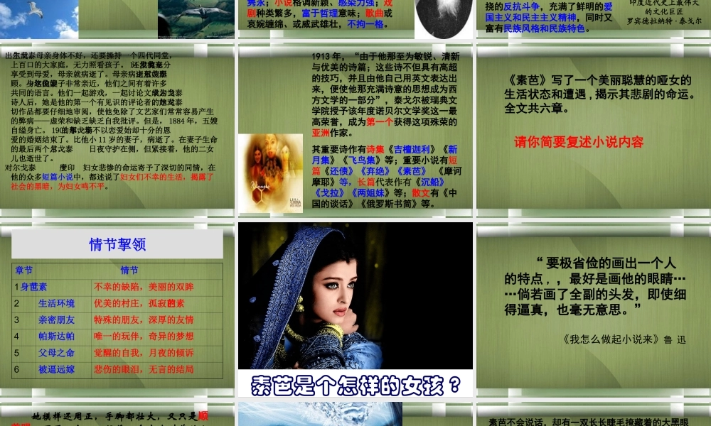 高中语文(素芭)课件2 新人教版选修 课件