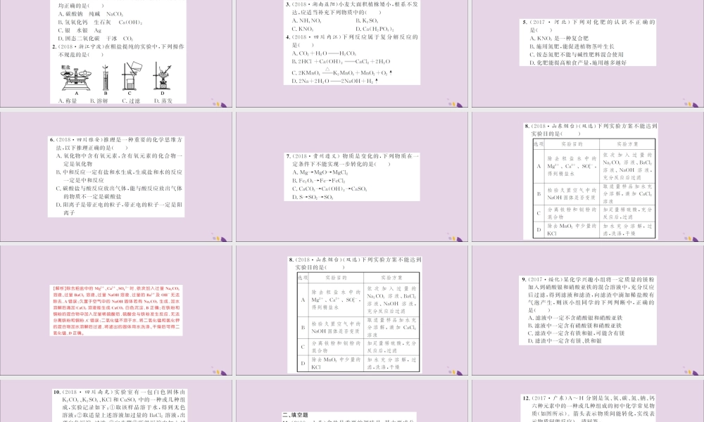 湖北省中考化学一轮复习 课后训练十八 盐 化肥习题课件