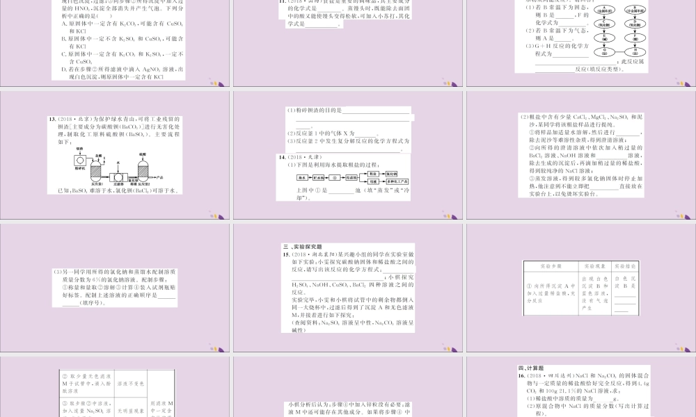 湖北省中考化学一轮复习 课后训练十八 盐 化肥习题课件