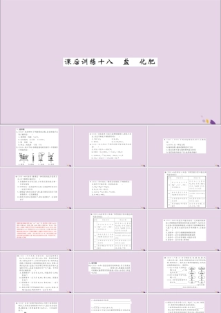 湖北省中考化学一轮复习 课后训练十八 盐 化肥习题课件